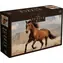 INTERDRUK Puzzle Wildpferde 2: Braunes Wildpferd / 1000 Teile