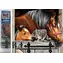 Norimpex Diamantmalerei Pferde mit Katze / 30x40 cm