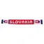 Sportteam Strickschal SR 3 / 100 % Acryl / 130 x 18 cm