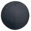 Leitz Ergo grau / Gymnastikball /  75 cm / Belastbarkeit 150 kg