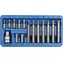 Vorel Bit-Set, 15-teilig, CrV TORX / Bit-Set / T20-T55 / Längen 30 und 75 mm / Kunststoffbox