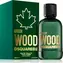 Dsquared2 Green Wood EDT 100 ml / Eau de Toilette / Herren