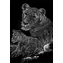 ROYAL & LANGNICKEL Rubbelbilder im Block Wildtiere / 12 Bilder + 12 Blätter / Rubbelstift / ab 8 Jahren