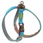 DOG FANTASY LED-Geschirr, 8 Zoll (ca. 2,4 m), wiederaufladbar, Größe S/M (90 cm) / 3 Beleuchtungsmodi / USB-Aufladung