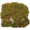 Repti Planet Natürliches Terrarienmoos / Terrarienmoos / 35 x 30 cm