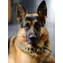 Norimpex Diamantmalerei Junger Hirte / 30x40 cm