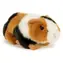 TEDDIES Plüschmeerschweinchen / 16 cm / ab 0 Monaten