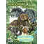 JIRI MODELS Malbuch Dinosaurier / A5 / 9 Schwarz-Weiß- + 9 Farbbilder