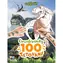 JIRI MODELS Malbuch mit Tattoos Dinosaurier / A4 / 24 Seiten / 100 Tattoos