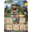 JIRI MODELS Stempel Dinosaurier / 5+1 Stück / Pop- UP -Wachssiegel, 7 Farben / Holzstempel und Stempelkissen