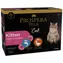 Prospera PLUS Katzen-Kätzchenbeutel Multipack 12x 85g 