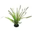 Repti Planet Spartina-Graspflanze, 30 cm