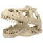 Repti Planet Dekoration T-REX-Schädel 13,3x8,5x9cm