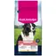 Eukanuba Senior Medium reich an frischem Huhn 15kg / Granulat für Hunde / für Senioren mittelgroßer Rassen 