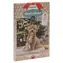 Beeztees PAW Adventskalender für Hunde 100g