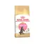 Royal Canin Kitten Maine Coon 400 g / Granulat für Maine Coon Kätzchen