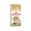 Royal Canin Ragdoll 2 kg / Granulat für Katzen