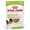 Royal Canin Adult Xsmall 12x85 g / Portionsbeutel für Hunde