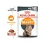 Royal Canin Haar- und Hautpflege in Gelform 85 g / Beutel für Kätzchen / unterstützt gesunde Haut und glänzendes Fell