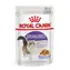 Royal Canin Sterilisiert in Gelee 85 g / Beutel für kastrierte Katzen