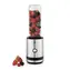WMF Smoothie-to-go Silber / Smoothie-Mixer / 300 W / 0,6 l