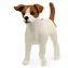 Schleich Farm WORLD 13916 Jack Russell Terrier / ab 3 Jahren
