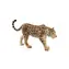 MOJO Leopard Spotted / ab 3 Jahren