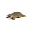 Mojo Animal Planet Strange Platypus / ab 3 Jahren