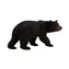 Mojo Animal Planet Bär Baribal / ab 3 Jahren