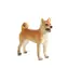 Mojo Animal Planet Hund Shiba Inu / ab 3 Jahren