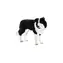 Mojo Animal Planet Border Collie / ab 3 Jahren
