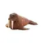 Mojo Animal Planet Walross / ab 3 Jahren