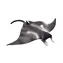 Mojo Animal Planet Stingray / ab 3 Jahren