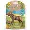 Playmobil Wiltopia 71052 Lotterie / Anzahl der Teile: 7 / ab 4 Jahren
