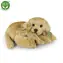 Rappa Plüsch-Labrador 27 cm / UMWELTFREUNDLICH / ab 0 Monaten