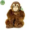 Rappa Plüsch-Orang-Utan 27 cm / UMWELTFREUNDLICH / ab 0 Monaten