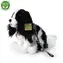 Rappa Plüsch-Kavalierhund mit Leine 27 cm / UMWELTFREUNDLICH / ab 0 Monaten