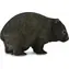 Collecta Wombat bärenartig / ab 3 Jahren