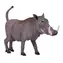 Mojo Animal Planet Savannenschwein / ab 3 Jahren