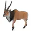 Collecta Antilope Eland / ab 3 Jahren