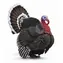 Collecta Türkei / ab 3 Jahren
