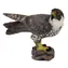 Collecta Wanderfalke / ab 3 Jahren
