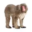 Schleich Wild Life 14871 Rotwangenmakaken / ab 3 Jahren 