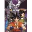 Dragon Ball - Kategorie