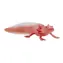 Mojo Axolotl / ab 3 Jahren