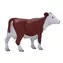 Mojo Hereford Kuh / ab 3 Jahren