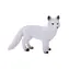 Mojo Arctic Fox / ab 3 Jahren