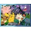 Pokémon - Kategorie