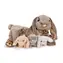 Cozy Noxxiez Bunnies mit Mama - Plüschtier / ab 0 Jahren