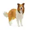 Schleich Tier - Collie / ab 3 Jahren